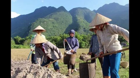Từ Phụ nữ tuổi này dễ có 