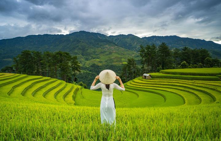 Freelancer Và Cơ Hội Kiếm Tiền Từ Nền Tảng Hotspot Matrix