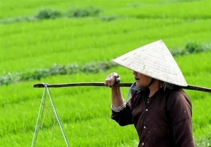 Hotspot Matrix: Biến Các nhà khoa học phân tích thành cơ hội marketing đột phá